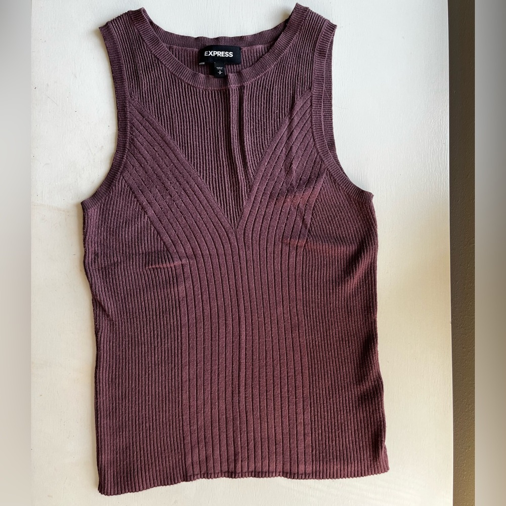 Women’s Express sweater vest